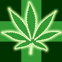 green_cross420's profile picture. The future of medicine is from the earth not a laboratory.