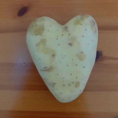 Kartoffel der Herzen :-D
Mastodon: @Kurbelradio@sueden.social
Rechtes Gesindel bleibt Gesindel, auch wenn sie sich blau anmalen.
#fckAfd