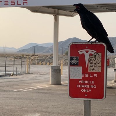 iamcawtoshi's profile picture. If you don’t believe it or don’t get it, I don’t have the time to try to convince you, sorry.