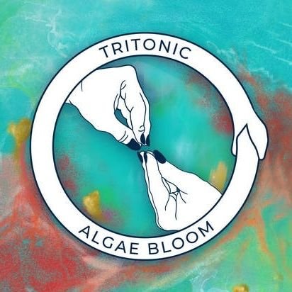 Tritonic is an experimental hardcore band from London with a heretical embrace of pop and indie. No views are ever truly our own.