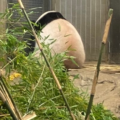 wR2mAWYELKUEDtr's profile picture. 
