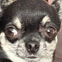 Joni (@joni_ov) 's Twitter Profile Photo Joni (@joni_ov) 's Twitter Profile Photo