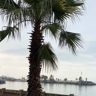 furkanssenel's profile picture. J&J BW