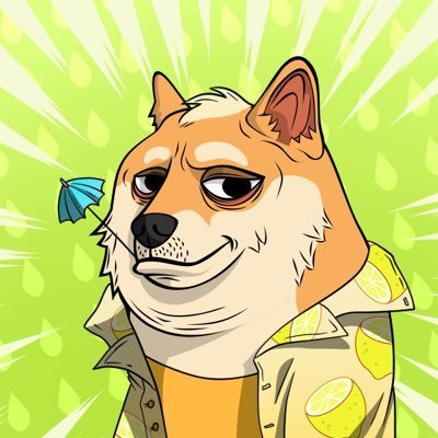 Creator of @thedogepoundnft + others 🐶 love to build products and be goofy. 🦡🦌🏀