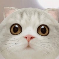 カジ (@f1f97dzfkaji) 's Twitter Profile