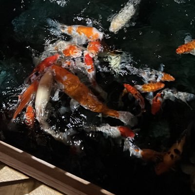 GSelalu77's profile picture. Orang biasa yang ingin politikus busuk hancur dari bumi indonesia