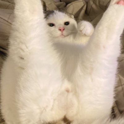 butter