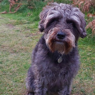 JanetMa72096462's profile picture. 