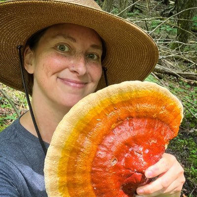 #naturephotography #nature #mushrooms #fungi Fungi advocate & educator. Professional photographer. Follow me on Instagram…link below! ⬇️🍄⬇️