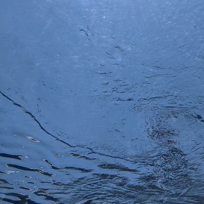 8tawakiint's profile picture. ウマと短歌をメインで。他ジャンルももしかしたら