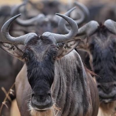 hiyoriorz's profile picture. ベンチ66kg級　パワー2級審判
製薬営業→地方公務員→医療事務（営業）
【今年の目標】
全日本クラッシックベンチ標準
統計検定２級
【趣味】
ウイスキー　料理　株　アニメ
【欲しい物】https://t.co/nD4GPSYZbg…