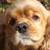 ð¯ðµðŸãŽã³å€ªðŸ (@kizusi) Twitter profile photo ð¯ðµðŸãŽã³å€ªðŸ (@kizusi) Twitter profile photo