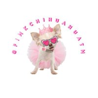 pinkchihuahua(@pinkchihuahuatn) 's Twitter Profileg