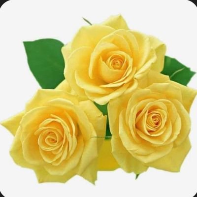 ChristianahAri3's profile picture. T9TLNBAL