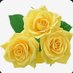 Xttieyyyy💕🌻🌻✨ (@ChristianahAri3) Twitter profile photo Xttieyyyy💕🌻🌻✨ (@ChristianahAri3) Twitter profile photo