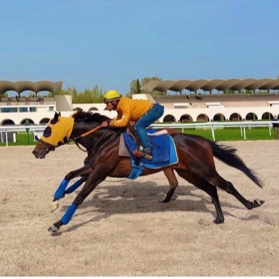 Aprendiz Jockey 🏇💪 Hipódromo la zarzuela