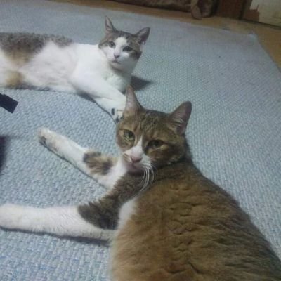 カンノ ケンジ (@682Kx85xrMknafr) / Posts / X