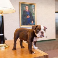 U of R Mascot George(@URMascot) 's Twitter Profile Photo