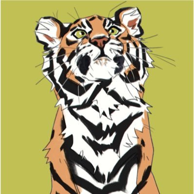 FernandoReynaud's profile picture. un gato griffon