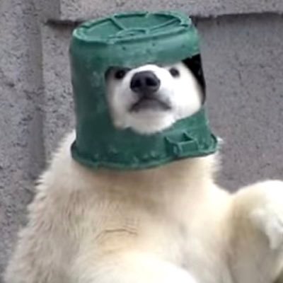 skurm11's profile picture. I’m a follower of Jesus