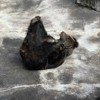 こ (@u__j_nn) 's Twitter Profile