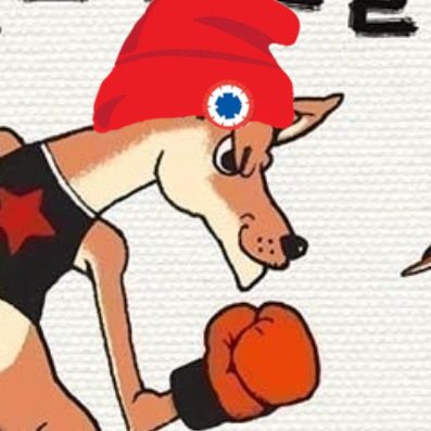 HandschuhRoter's profile picture. Boxen für den Frieden