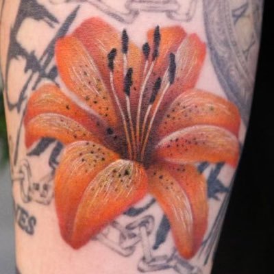 Blooming Tiger ❀⟬⟭さんのプロフィール画像