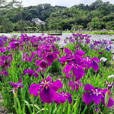 えいさんのプロフィール画像