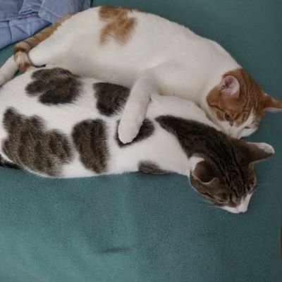 patio81688056's profile picture. 