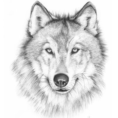 VascoNe35531890's profile picture. GRA GRA GRA GRA GRA GRA GRA