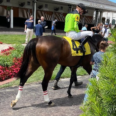 Thoroughbred Picks and writer for @bettorsinsider

