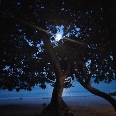 KABBailon31580's profile picture. Blessed siopao!