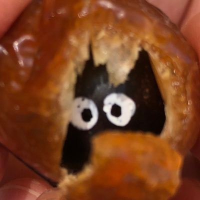 booboo5858's profile picture. 👨‍👩‍👧家族でポケカ🌻諸先輩がたの体験談を聞きたい。。。つぶやきは程々に。ポケカ、ワンピカコレクション。ゲーム、アニメ、漫画、映画が大好き！