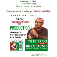 The Order of Peter Obi (@nwokebili) 's Twitter Profile