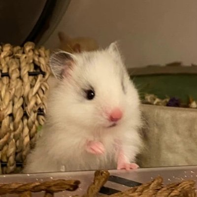 jq177520's profile picture. en