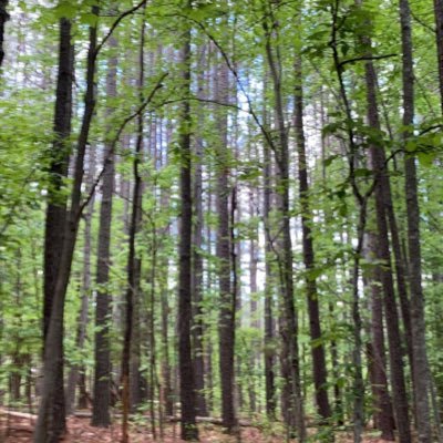 leavemetfalone7's profile picture. 