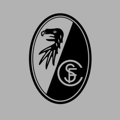 Fc freiburg🇩🇪
Since 1912

Competing in Bundesliga