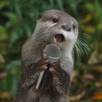 moeinotter (@moein_pj) 's Twitter Profile
