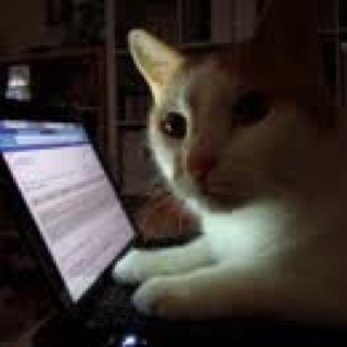 n1ghtc4t's profile picture. 그놈채널 묘족입니다옹~.
친묘는 언제나 환영 -ㅅ-)/