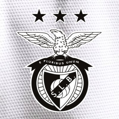 🦅 SL Benfica Azərbaycan səhifəsi. Força Benfica!