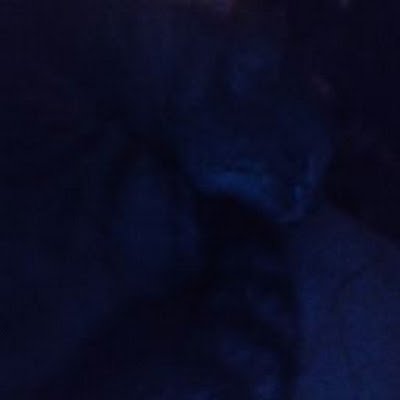 ImSoStupidUgh's profile picture. 