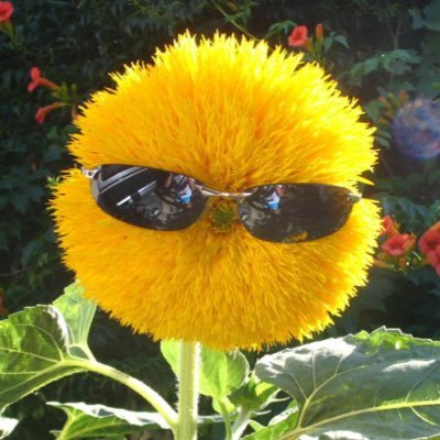 땅콩さんのプロフィール画像