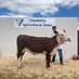 Dunworley Herefords (@dherefords) Twitter profile photo Dunworley Herefords (@dherefords) Twitter profile photo