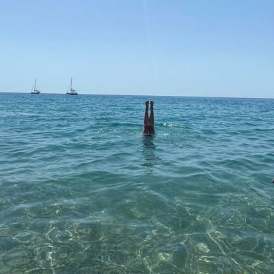 water politics and governance @ihedelft @UvA_Amsterdam https://t.co/v5YBhBJQit @mzwarteveen.bsky.social