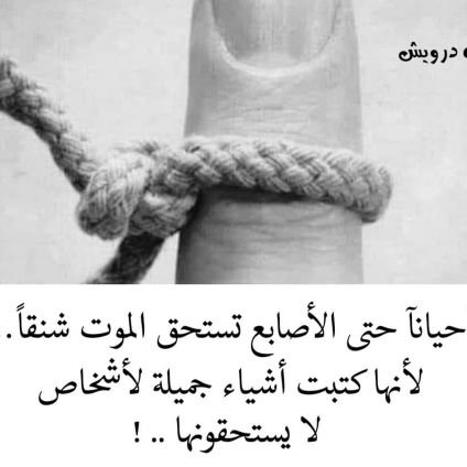 aldlfen1985's profile picture. ...