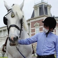 ジャバ仙人 (@plus7) Twitter profile photo