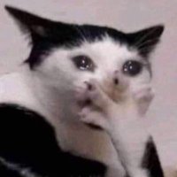 Katia 👠 (@katiacalderini) 's Twitter Profile Photo