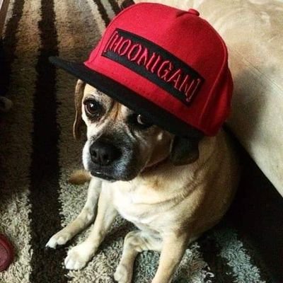 Hoon_igan's profile picture. Hoon-i-gan A person who operates a motor vehicle in an aggressive nd unorthodox manner consisting of but not limited to drifting and aeronautics, one who hoons!