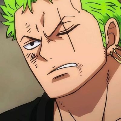 zoro se perdendo pelo mundo a fora e conteúdo relacionado a One Piece || Sugestões e parcerias na dm 📥 || adms @offtheuszin @Tenn__ffy @strawhats_queen