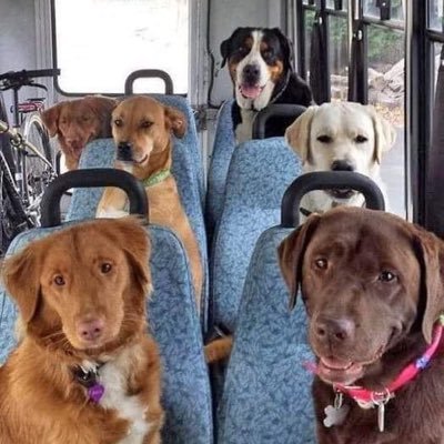 elephema's profile picture. ~ #T1WIN #KCWIN #FNCWIN #C9WIN #LYONWIN #FLYWIN